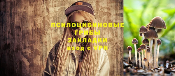 jwh Козельск