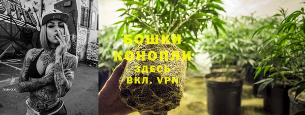 стафф Кодинск