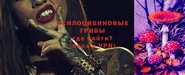 jwh Козельск