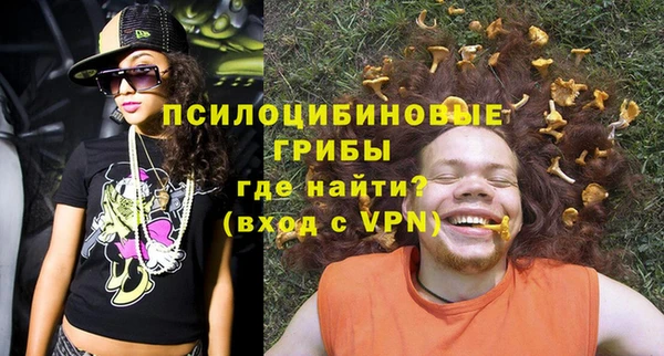 стафф Кодинск