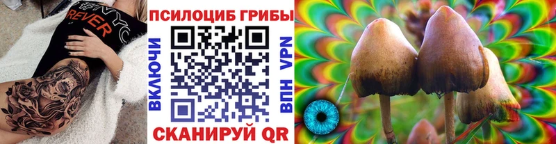 Купить где  Иваново  Галлюциногенные грибы мухоморы 